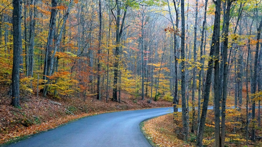An empty road overlooking the striking colors of fall foliage near Colton Point State Park, Wellsboro, Pennsylvania, U.S