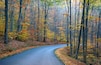 An empty road overlooking the striking colors of fall foliage near Colton Point State Park, Wellsboro, Pennsylvania, U.S