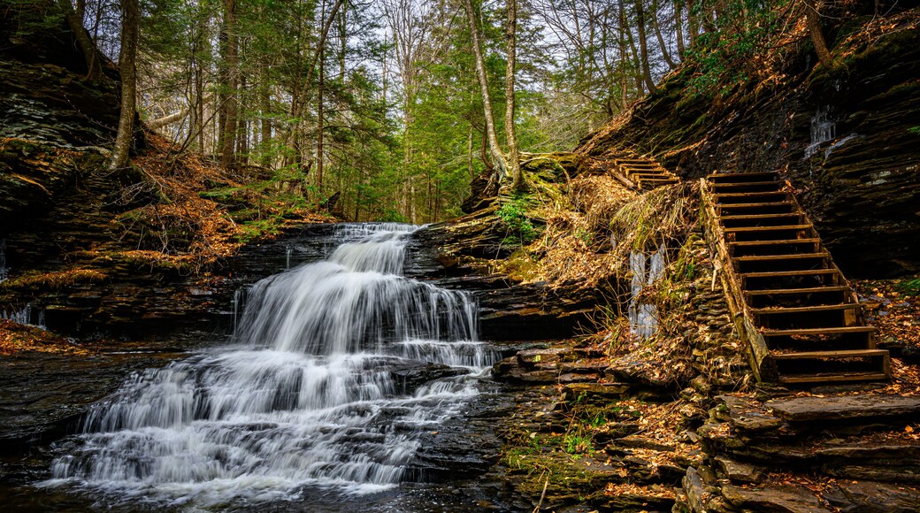 Parque estatal Ricketts Glen