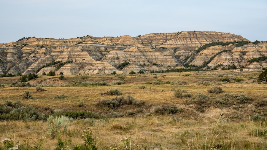 Buckhorn Trail Passing Through The Badland Formations In Theodore Roosevelt