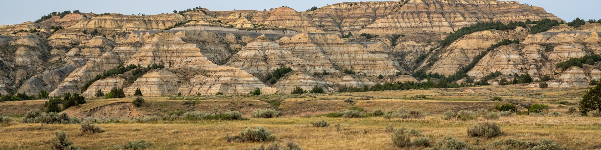 Buckhorn Trail Passing Through The Badland Formations In Theodore Roosevelt