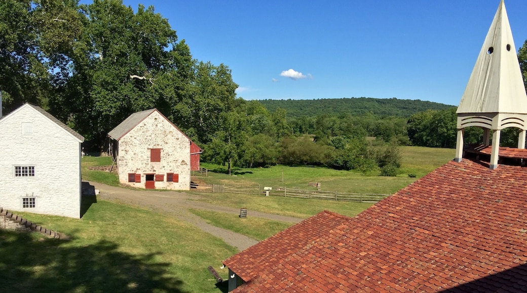 This local treasure is a lot to take in, there are historic buildings to venture through with audio commentary available. It's also loaded with animals, lots of roosters roaming the grounds, it was a fun place to check out.