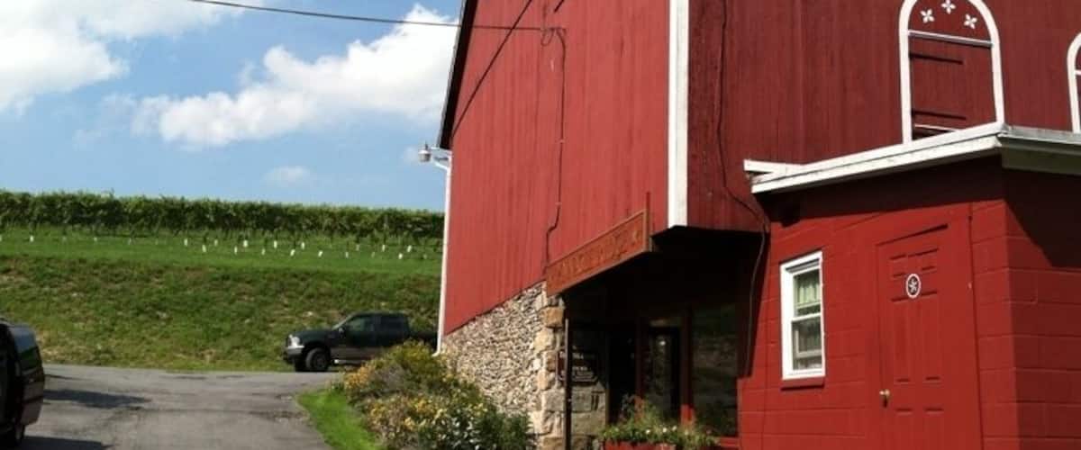 Great winery and vineyards in PA on our "spend the day going to as many wineries as possible" expedition. You'll like it. Give em a try.