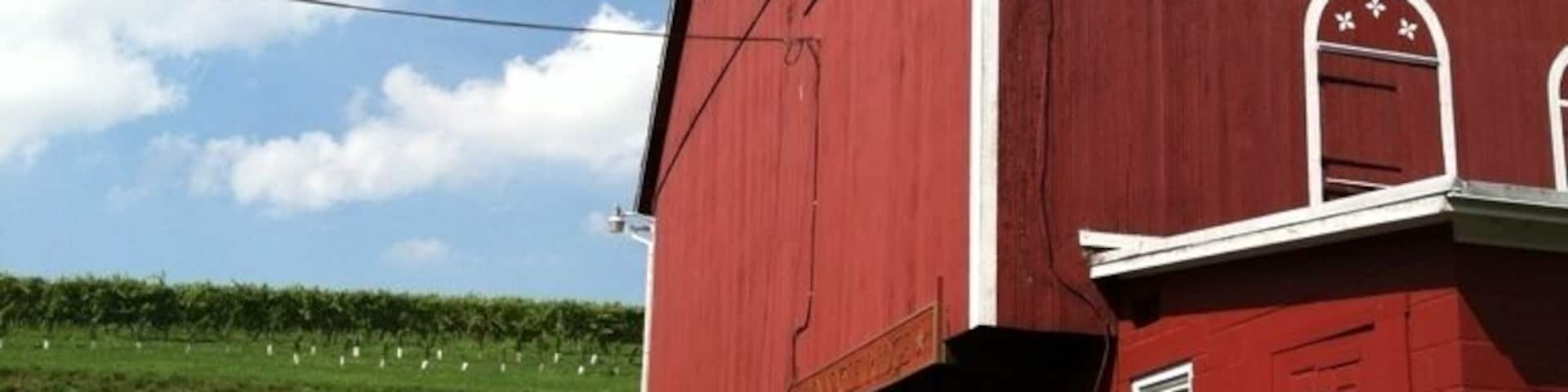 Great winery and vineyards in PA on our "spend the day going to as many wineries as possible" expedition. You'll like it. Give em a try.