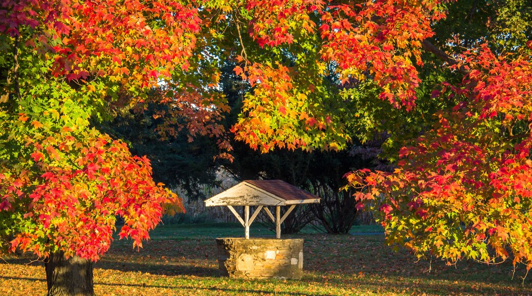 Beautiful Fall day at Core Creek Park, Langhorne, Pennsylvania