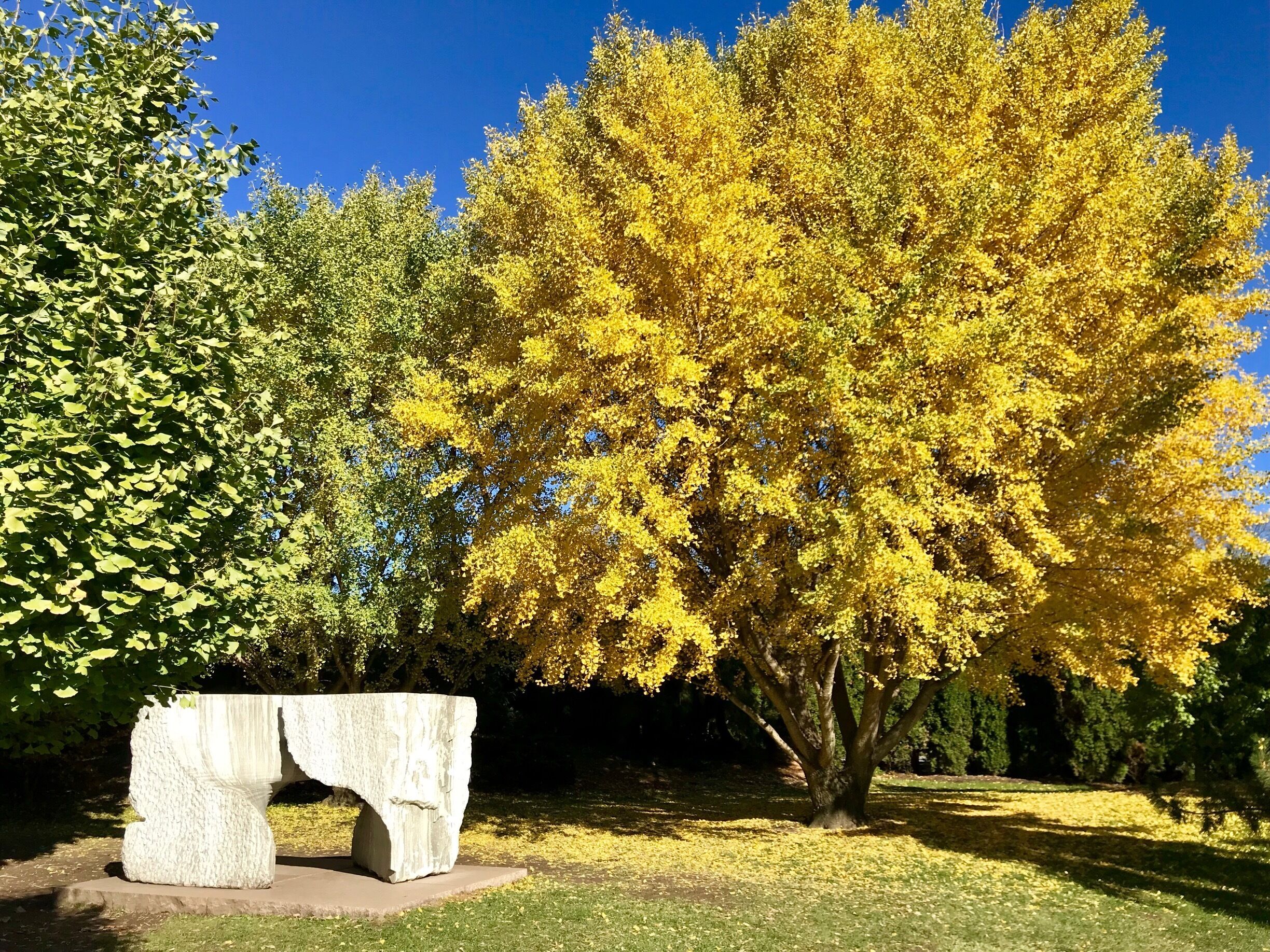 Beautiful fall day to walk around a sculpture park!