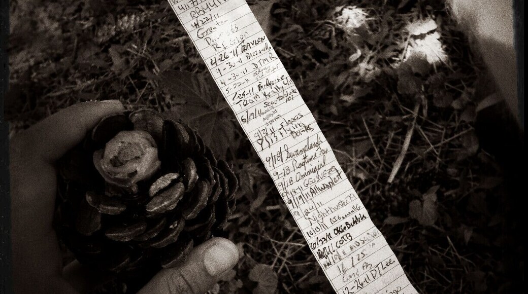 If you have never tried geocaching, I highly recommend giving it a go! Essentially, its a treasure hunt ranging anywhere from super easy and kid friendly to ridiculously difficult (ie- the treasure can only be accessed by rappelling or scuba diving). You are looking for a little container that is sometimes hidden in everyday, unassuming objects you wouldn't look at twice- such as this pinecone! Inside is a log with the names of all the treasure hunters who have found it and sometimes tokens that can be tracked. After I tried this first one, I was absolutely hooked. There are even some geocaches where the reward is an amazing view you would have never otherwise seen. Check out www.geocaching.com to see ones near you- I almost guarantee you will be surprised how many people have been treasure hunting in your backyard for things you never even knew were there!