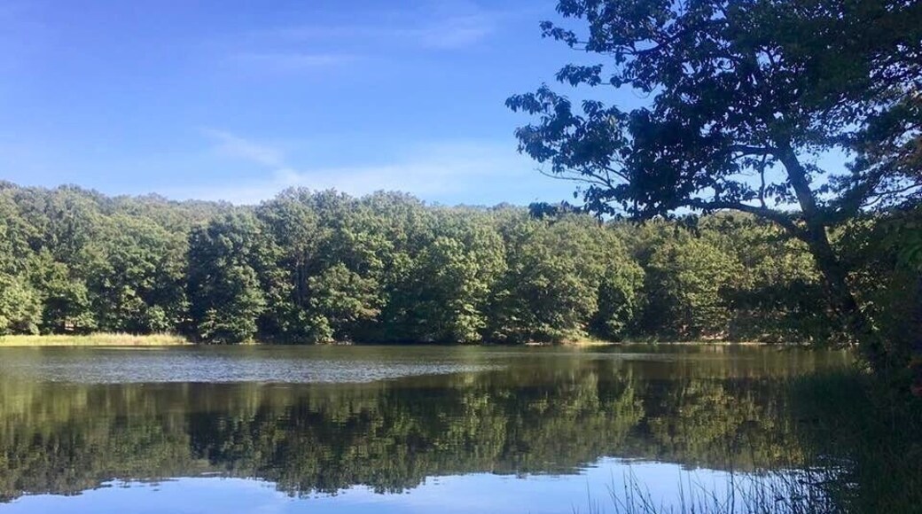 Lake view from the Yellow Trail. A quick walk from trailhead parking lot.