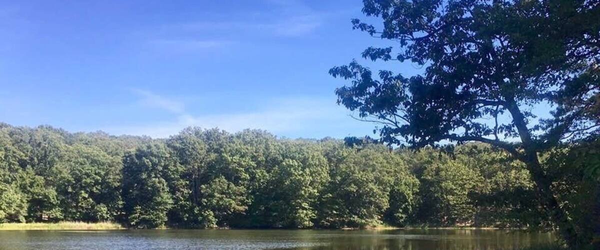 A calm lake with reflections of trees and a clear sky.