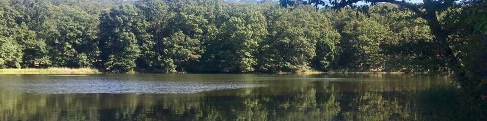 Lake view from the Yellow Trail. A quick walk from trailhead parking lot.