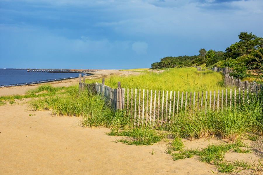 Beach Meadow