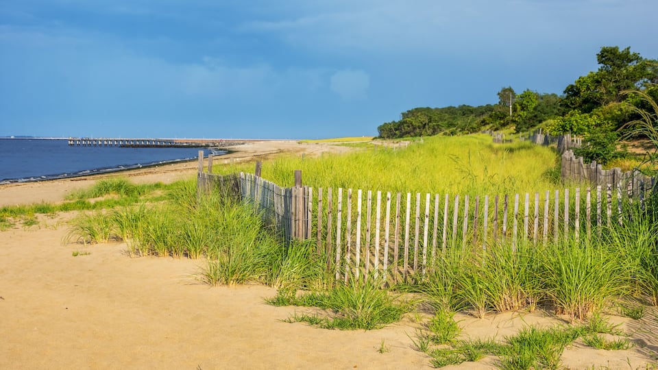 A sandy beach with a wooden fence and tall grass in the foreground.