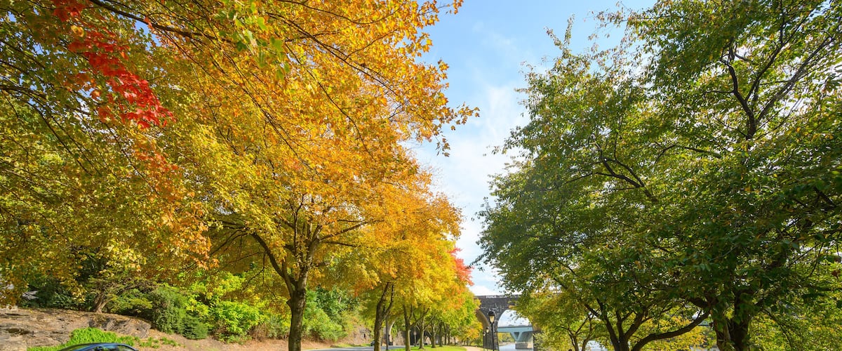 Philadelphia - Fall 2022 along Schuylkill River Trail