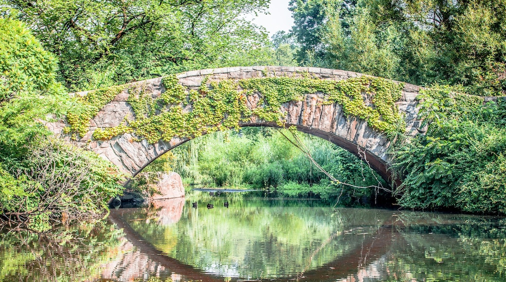 Beautiful Gapstow bridge reflecting in water in Central Park, New York City during summer sunny day