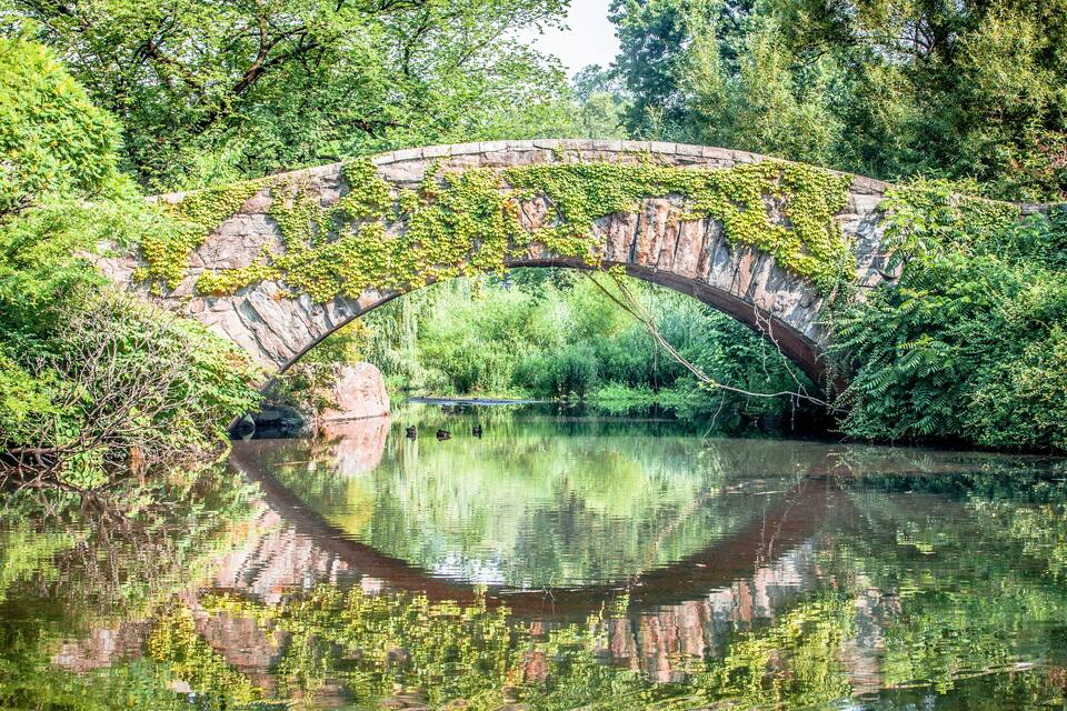 A stone bridge with ivy over a calm river surrounded by lush greenery.