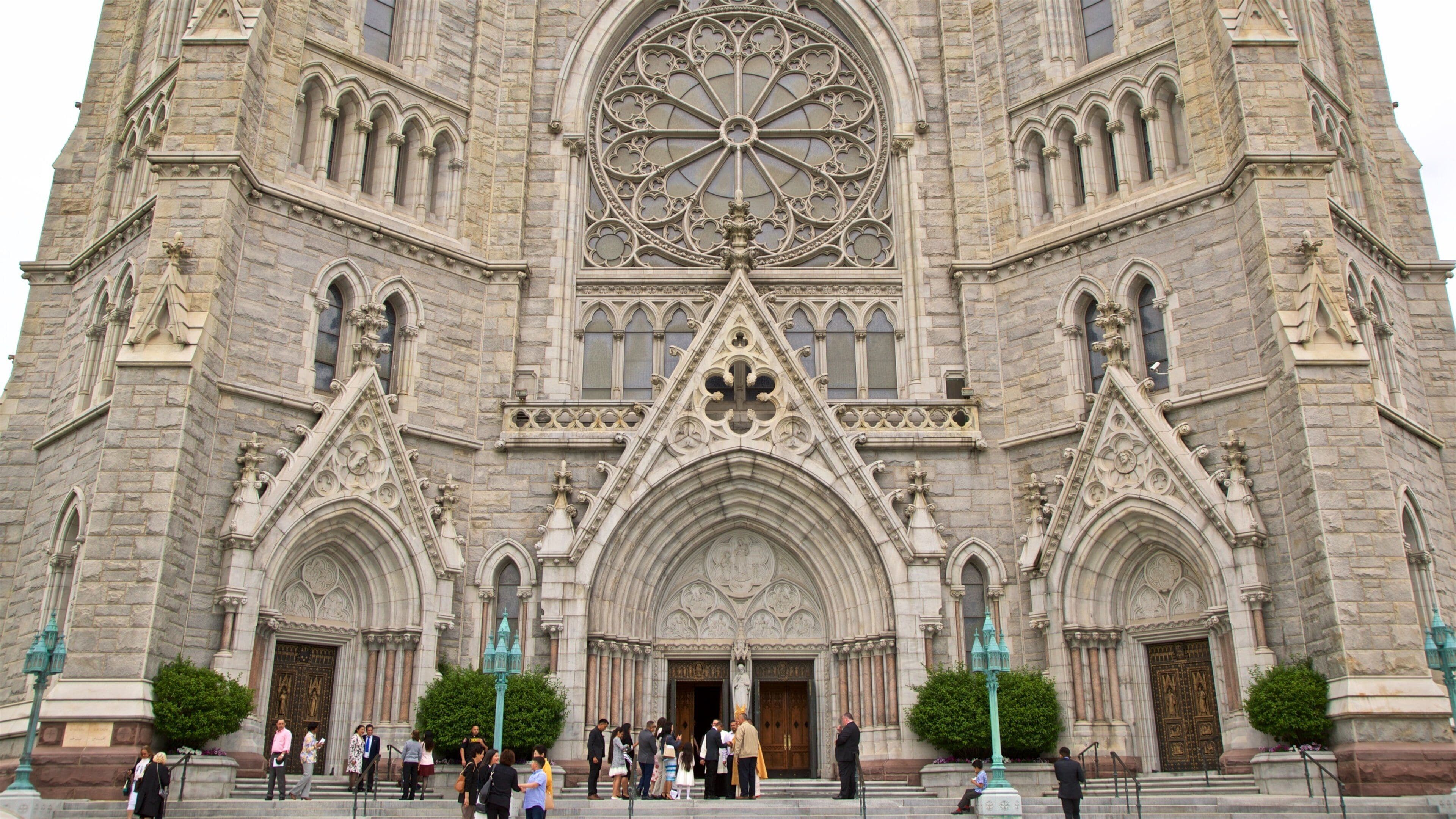 Cathedral of the Sacred Heart caracterizando uma igreja ou catedral e arquitetura de patrimônio assim como um pequeno grupo de pessoas