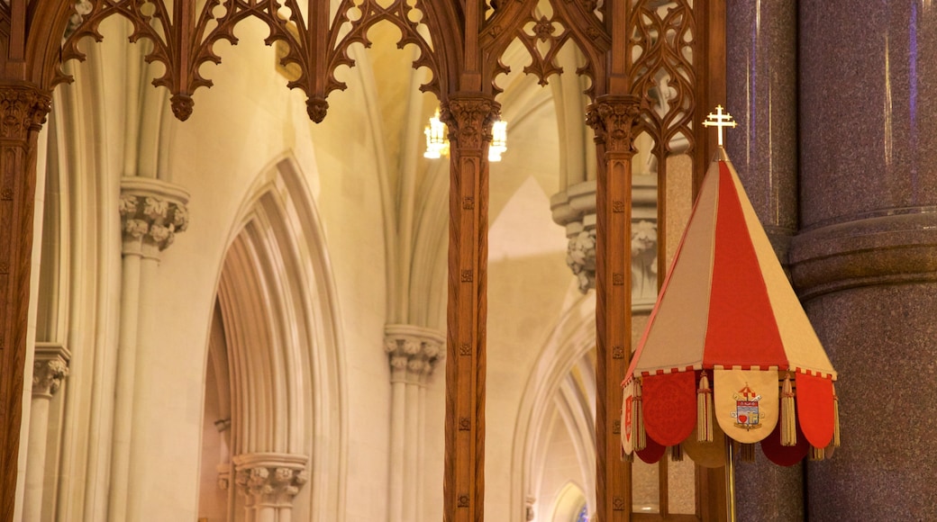 カテドラル オブ ザ セイクレッド ハート 表示 屋内の眺め, 教会あるいは大聖堂 と 遺跡・遺産