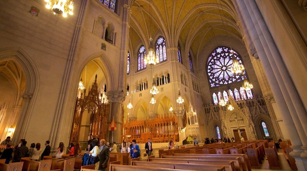カテドラル オブ ザ セイクレッド ハート どの含み 教会あるいは大聖堂, 遺跡・遺産 と 屋内の眺め