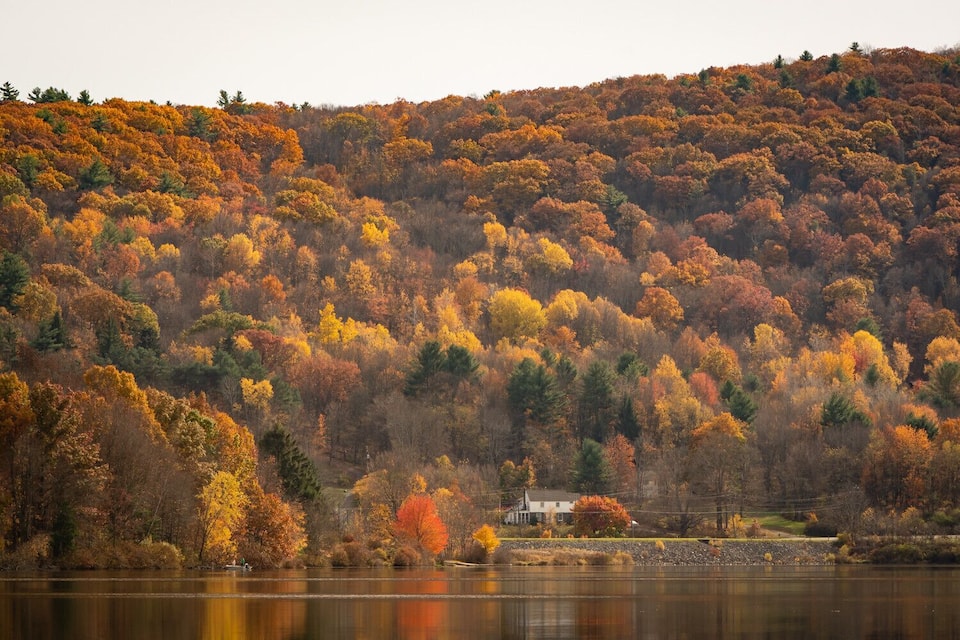 A lake surrounded by autumn-colored trees and a hill with a house in the distance.