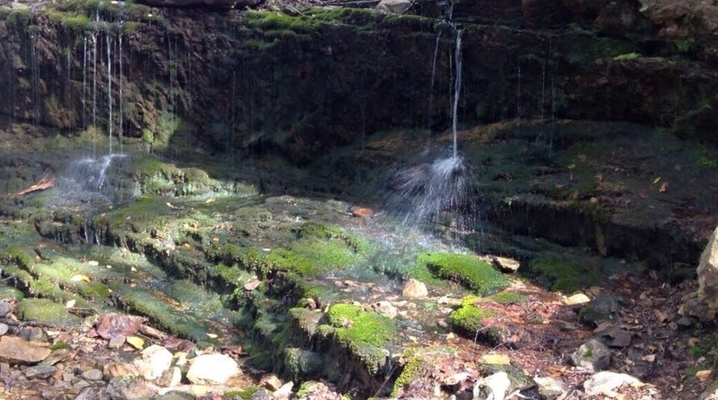 This is copper mine trail. This wasn't flowing a lot when I was there but is beautiful when there's enough water.