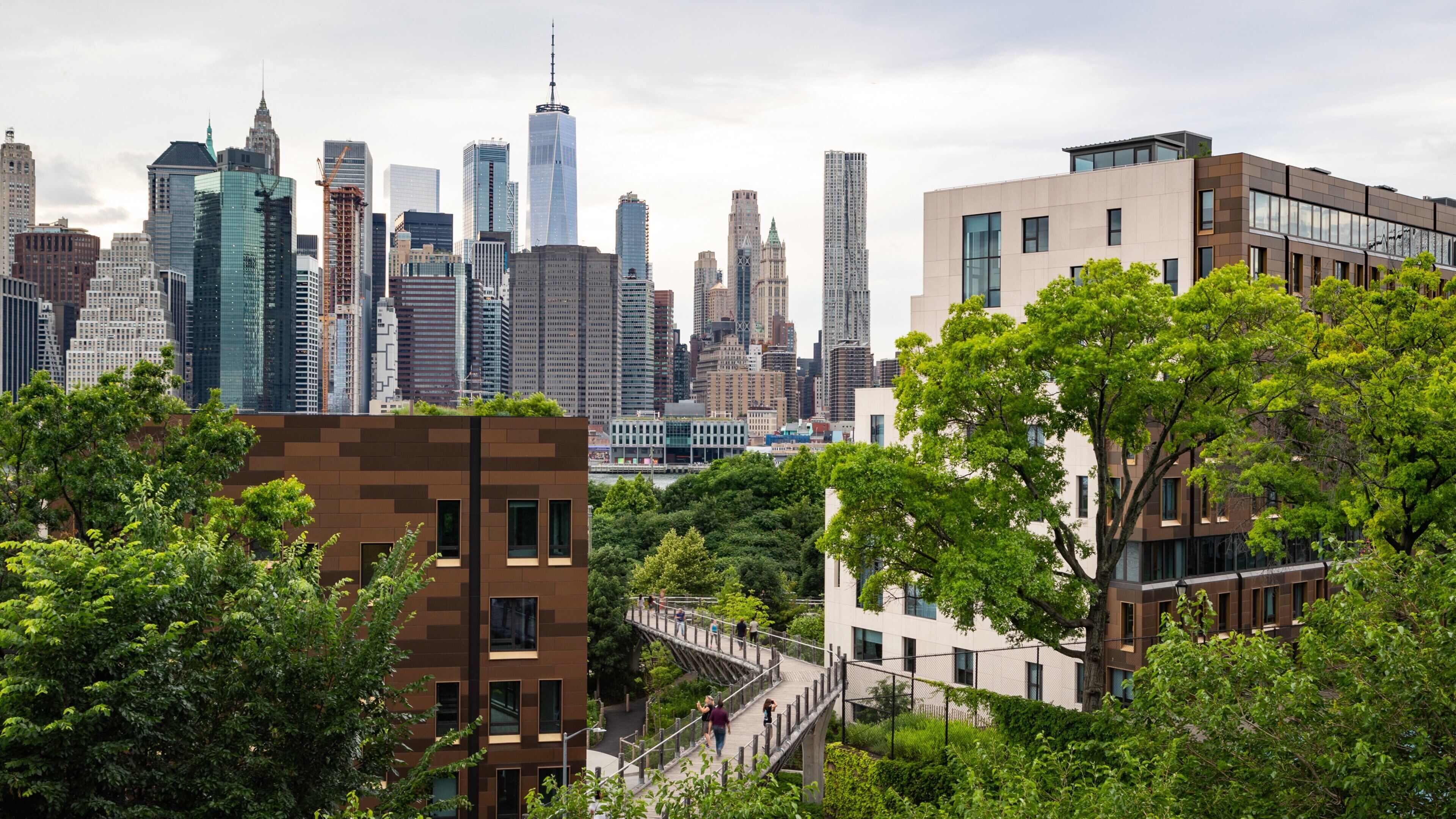Brooklyn Borough Hall showing a city