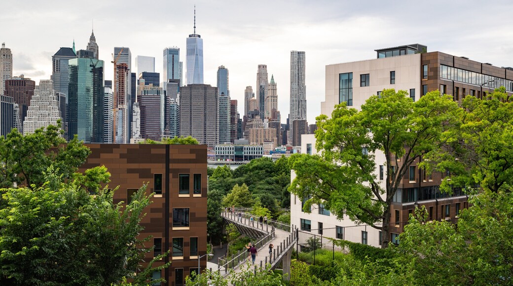Brooklyn Borough Hall showing a city