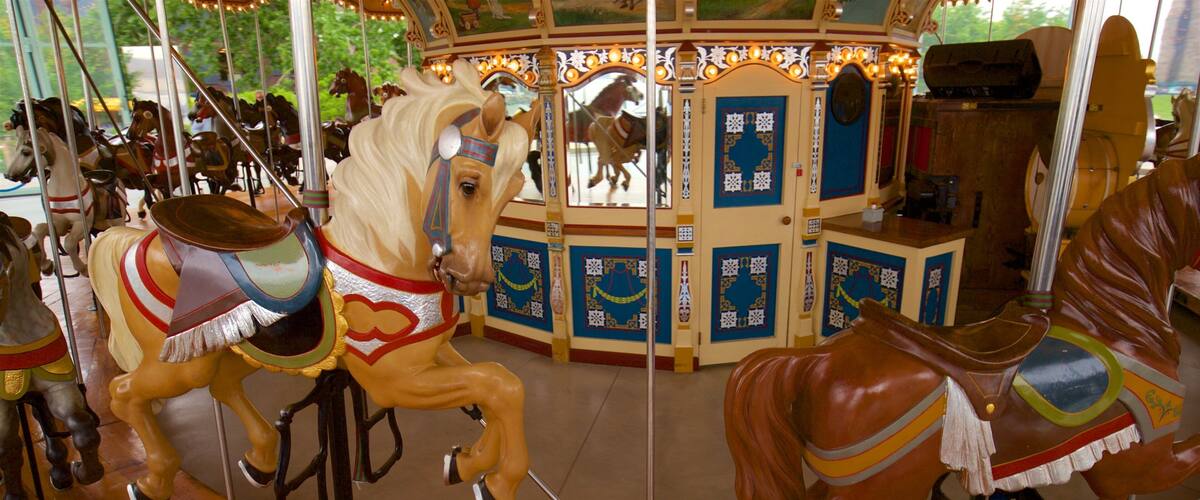 Jane’s Carousel