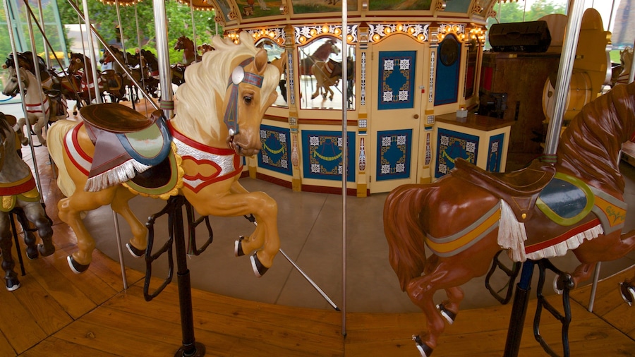 ManĂšge Janeâs Carousel
