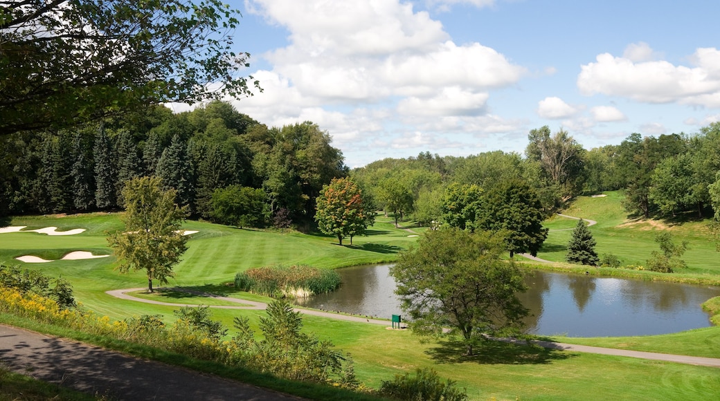 Club de campo New York