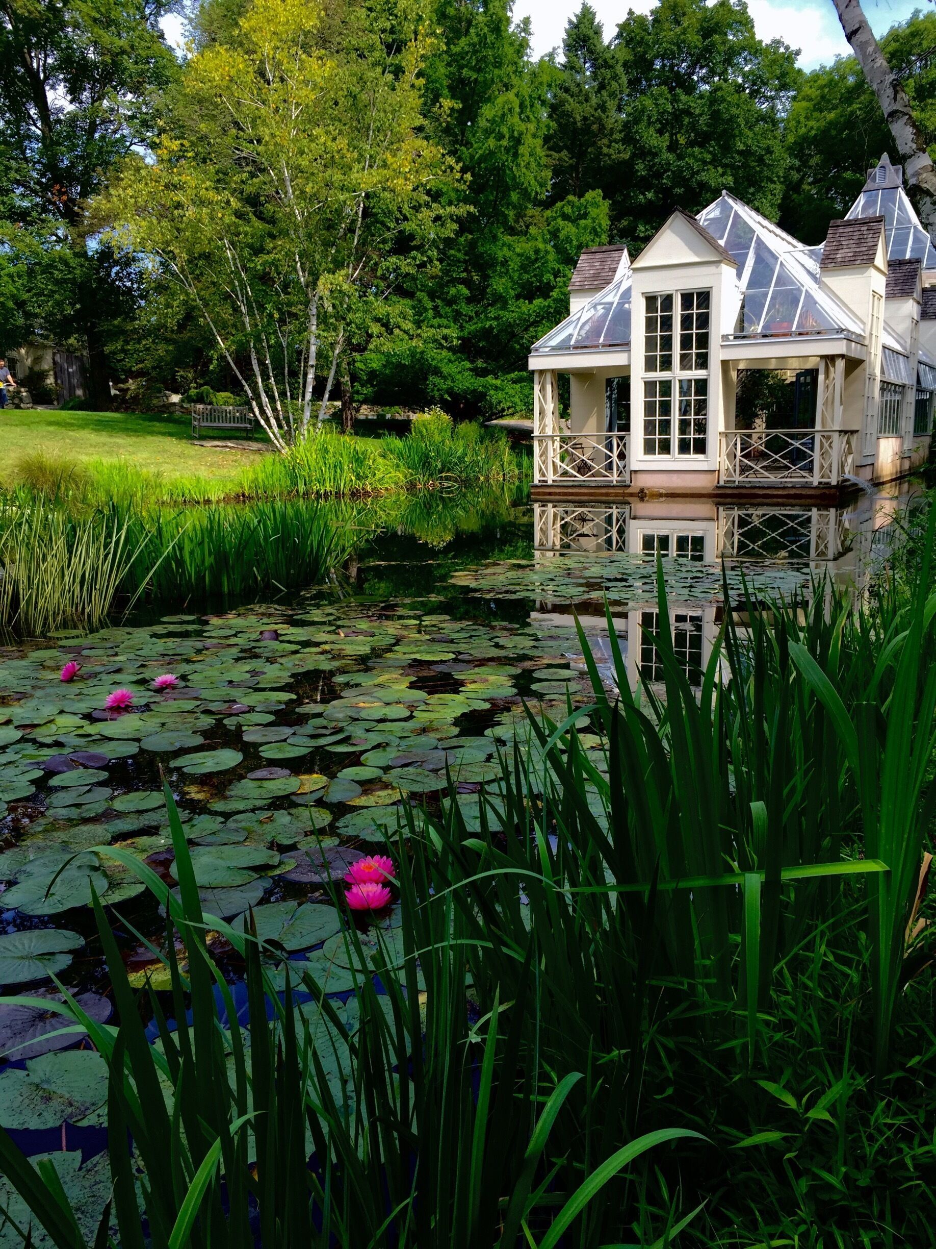 Magical tranquil garden🌳🌺🌼 #Patterns