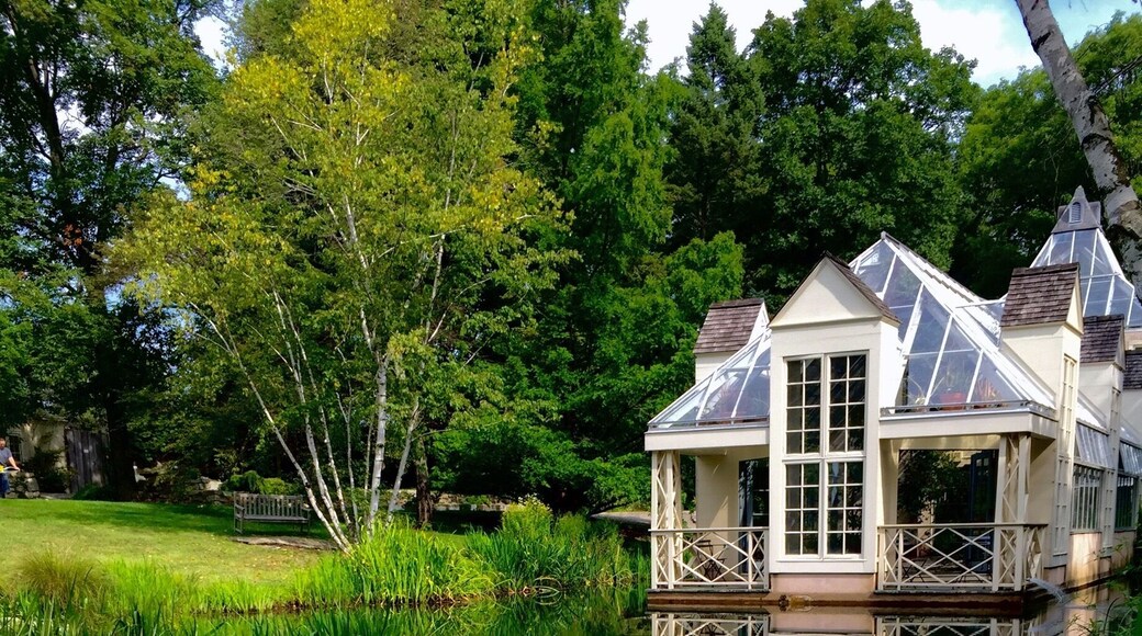 Magical tranquil garden🌳🌺🌼 #Patterns