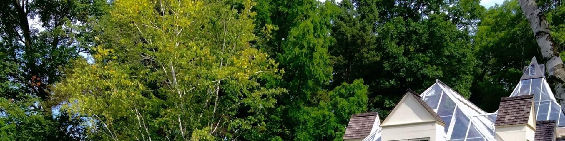 Magical tranquil garden🌳🌺🌼 #Patterns