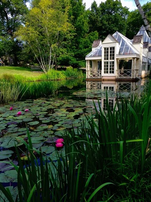 Magical tranquil garden🌳🌺🌼 #Patterns