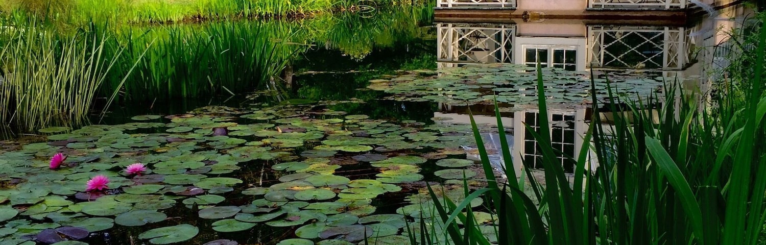 Magical tranquil garden🌳🌺🌼 #Patterns