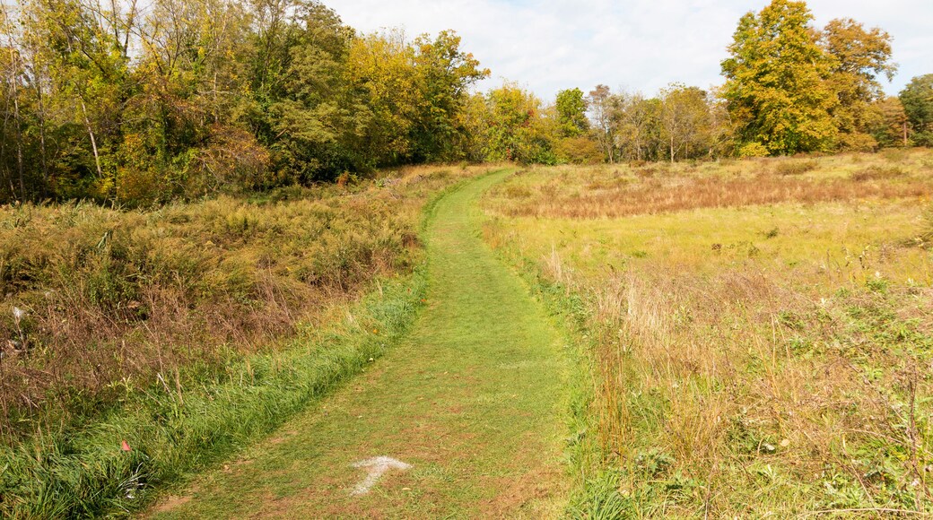 Mowed cross country runners course in Bowdoin Park Wappingers Falls New York