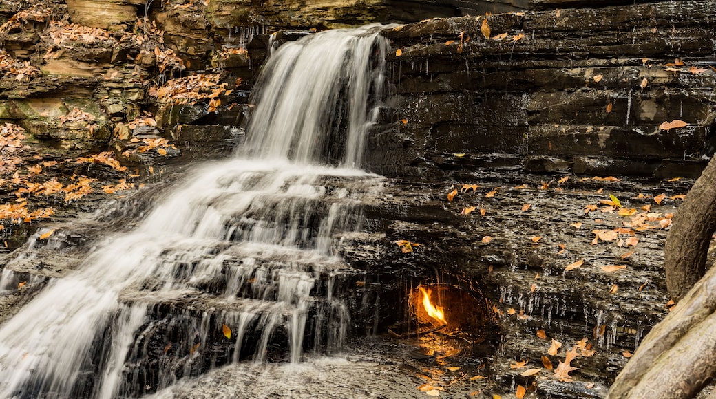 Cascada Eternal Flame