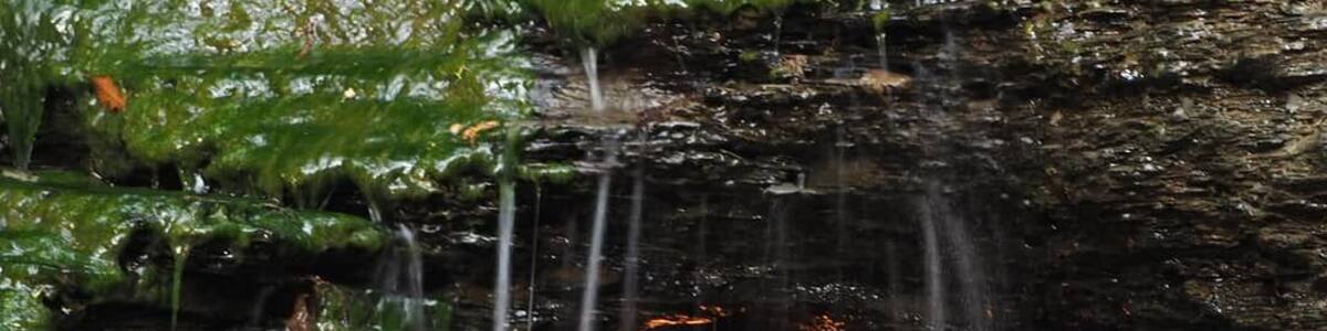This is Eternal Flame Falls (aka Chestnut Ridge Falls). This waterfall has an unexpected twist, there is a natural gas vent behind the falls that maintains a flame.
A surreal experience to hear the flame flickering over the sound of the cascading water.