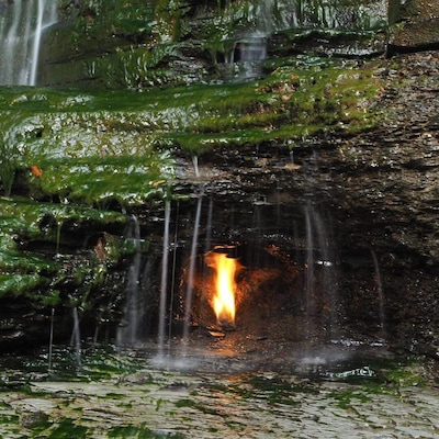 This is Eternal Flame Falls (aka Chestnut Ridge Falls). This waterfall has an unexpected twist, there is a natural gas vent behind the falls that maintains a flame.
A surreal experience to hear the flame flickering over the sound of the cascading water.