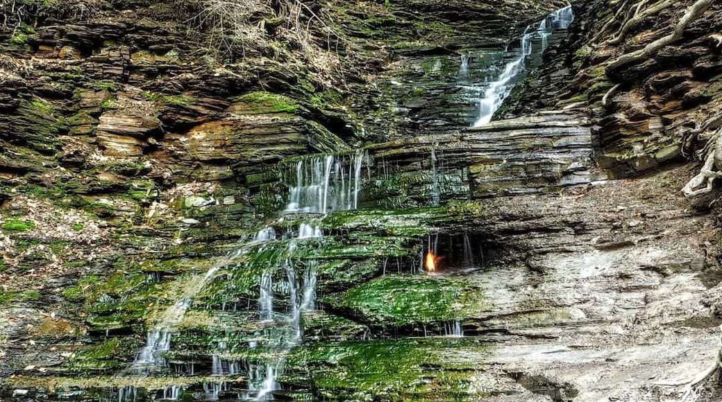 This is Eternal Flame Falls (aka Chestnut Ridge Falls).
This waterfall has an unexpected twist, there is a natural gas vent behind the falls that maintains a flame.
A surreal experience to hear the flame flickering over the sound of the cascading water.