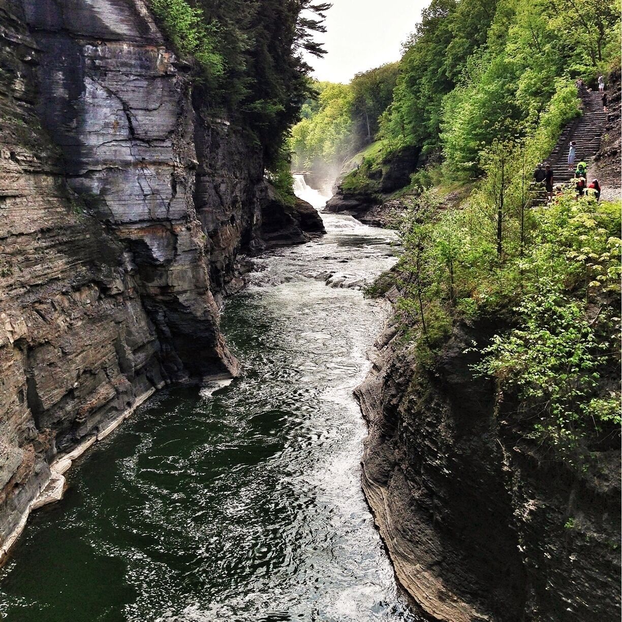 A narrow canyon with a river flowing through it, surrounded by steep rock walls and dense greenery.