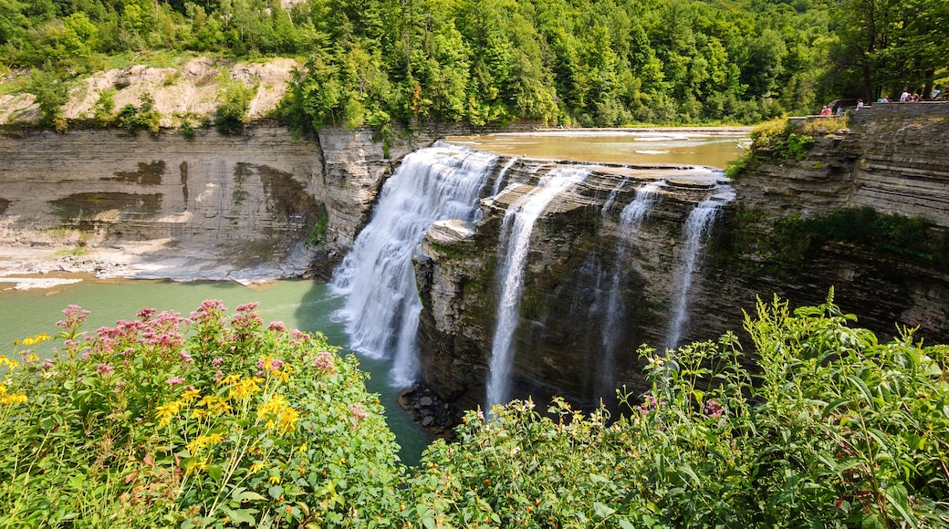 Letchworth State Park