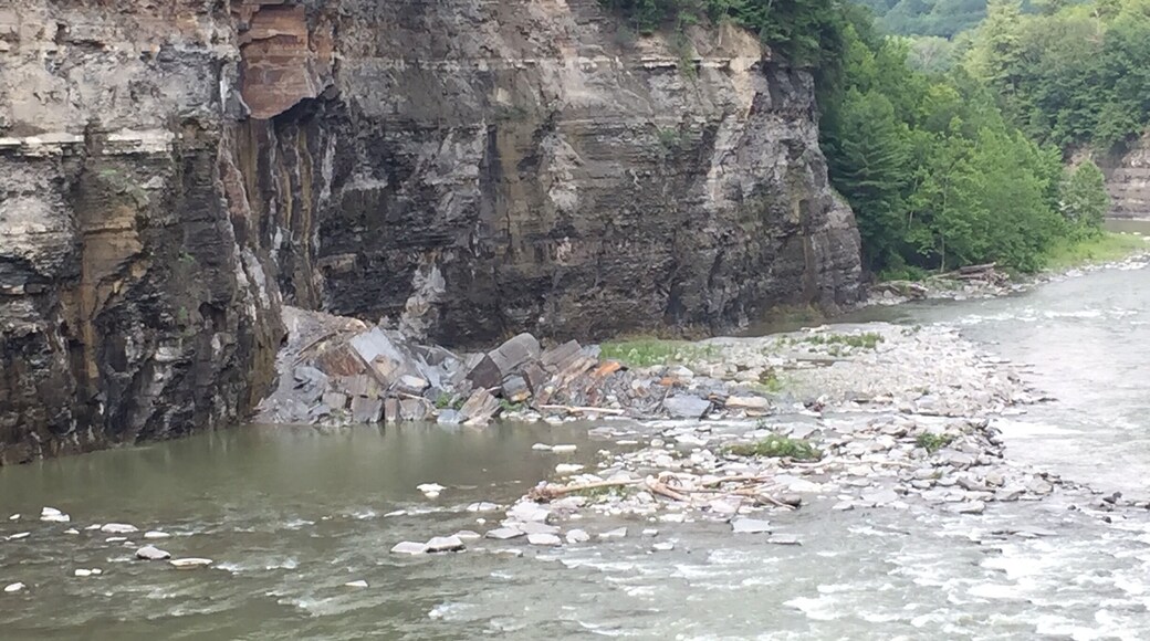 View of the gorge walls falling into the river by the Lower Falls