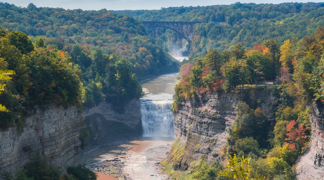Letchworth State Park in autumn