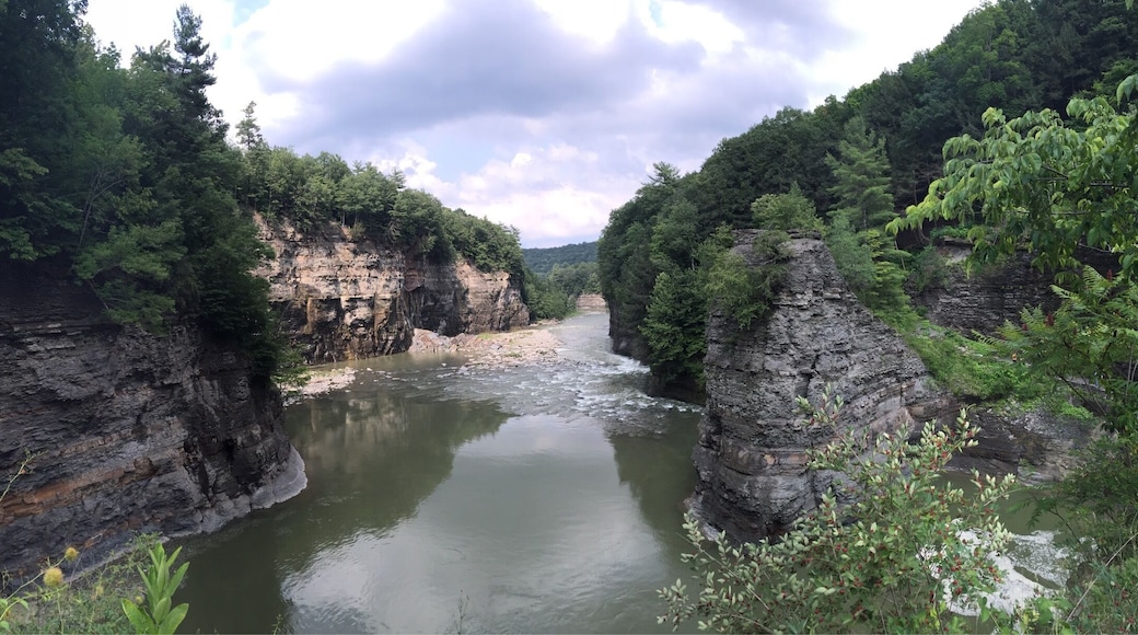 Lookout just past the Lower Falls