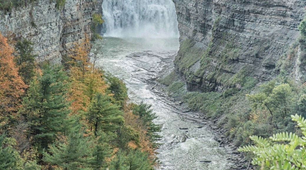 This is considered to be the #1 State Park in the nation, and it deserves the title.