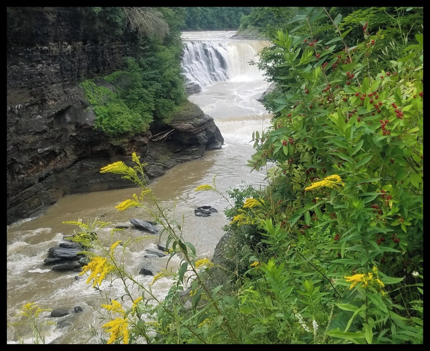 River running through Letchworth state park.