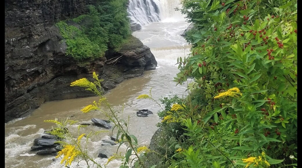 River running through Letchworth state park.