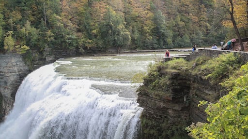 The Finger Lake area of NY state is absolutely incredible. This is middle falls at Letchworth. Beautiful.