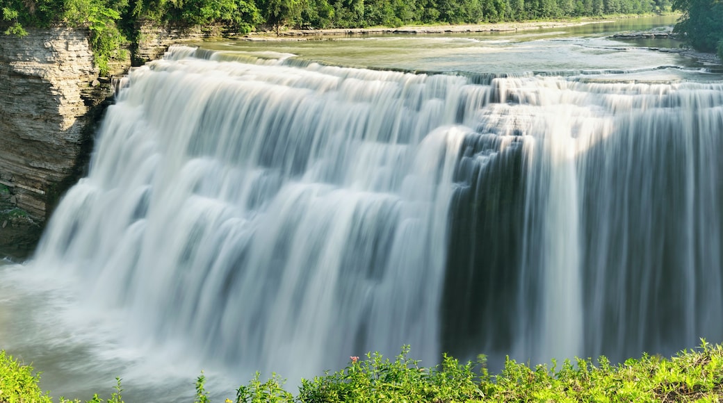 Middle Falls on a summer day! #falls #statepark