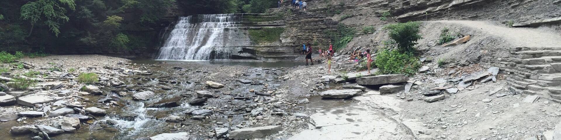 A waterfall cascading into a rocky stream surrounded by dense forest.